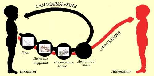 Процесс самозаражения глистами у ребенка