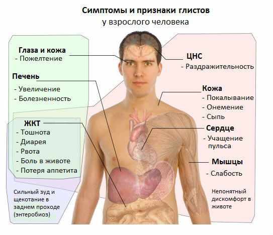 Симптомы глистов у взрослого