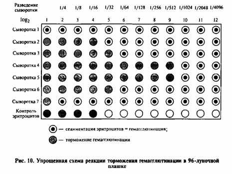 Реакция в 96-лучном планшете