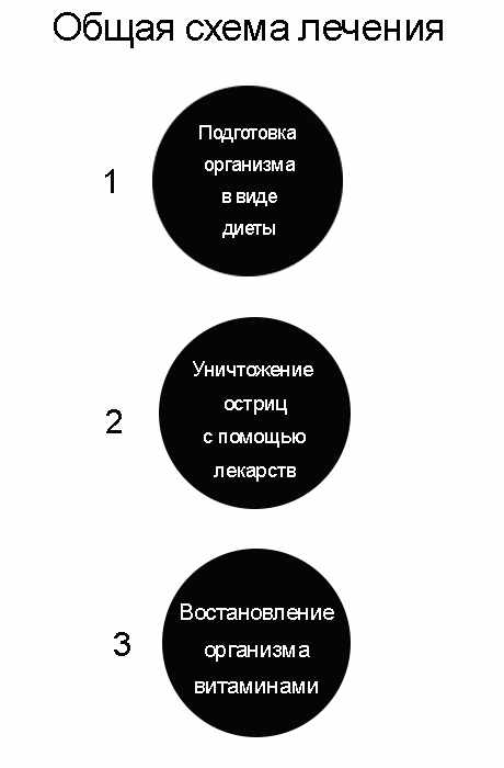 Общая схема лечения энтеробиоза