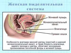 Выделения по причине болезней