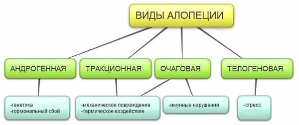 Алопеция и ее виды