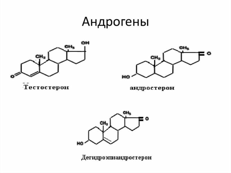 Андрогены