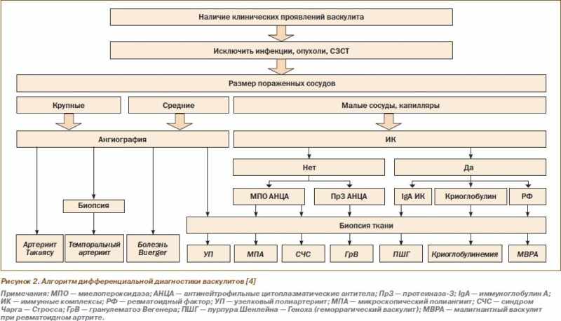 Дифференциальная диагностика васкулита