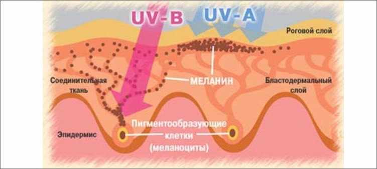 Меланин