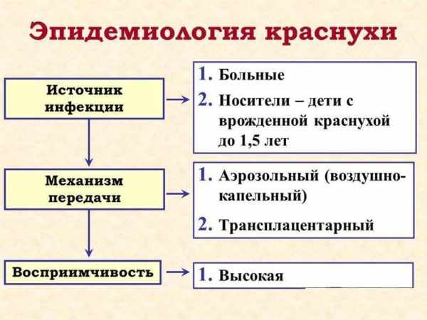 Эпидемиология краснухи