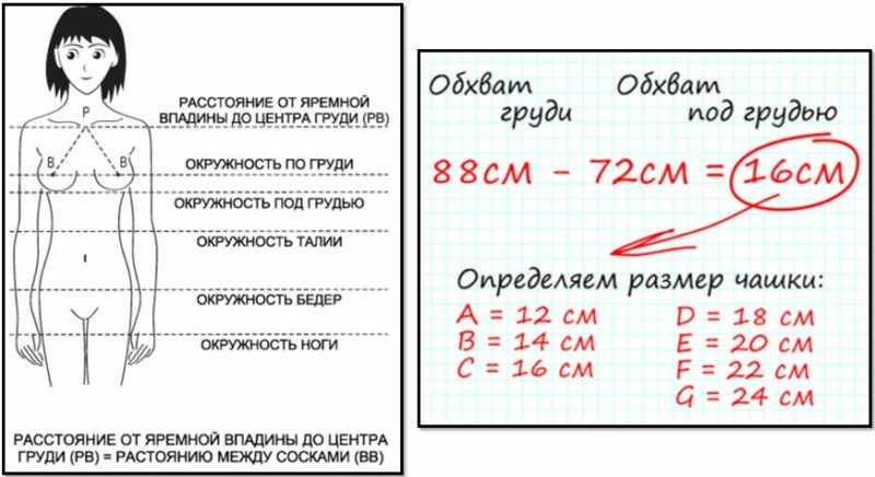 Правила выбора размера бюстгальтера