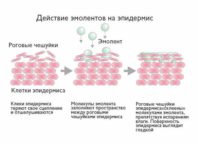 Действие эмолентов