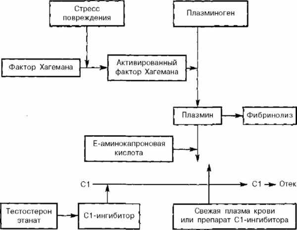 Общий механизм развития отека Квинке 