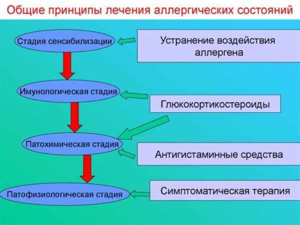 Принципы лечения аллергии