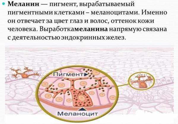 Меланин